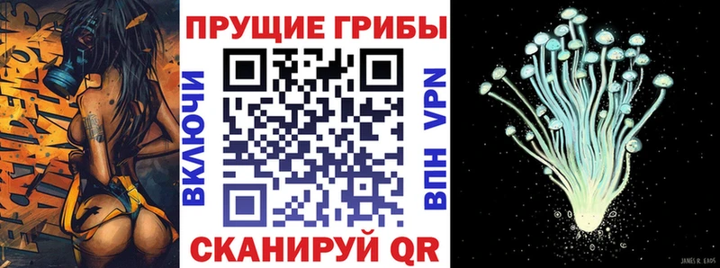 Псилоцибиновые грибы прущие грибы  даркнет клад  Георгиевск  где продают  